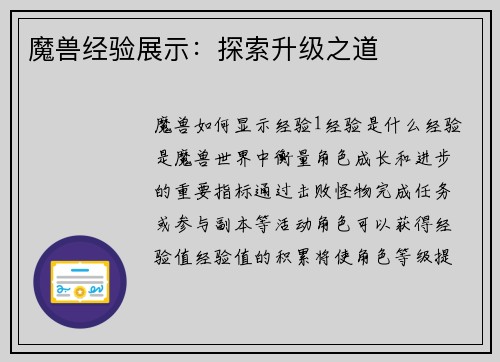 魔兽经验展示：探索升级之道
